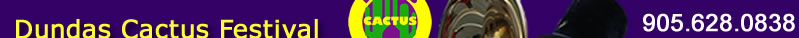 Cactus Festival Parade Graphic